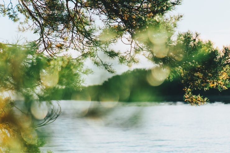 Archipelago