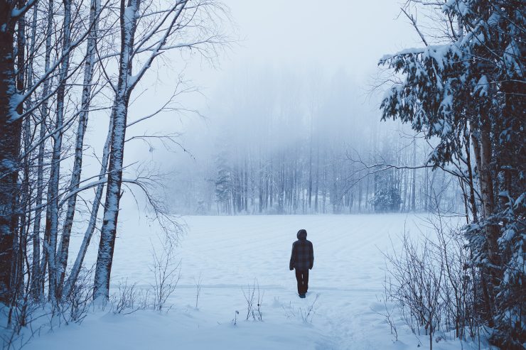 Winter walk