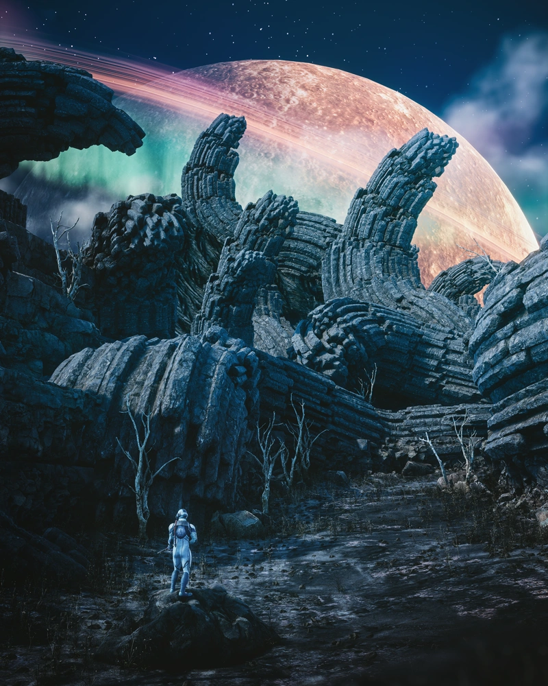 The Outer Worlds